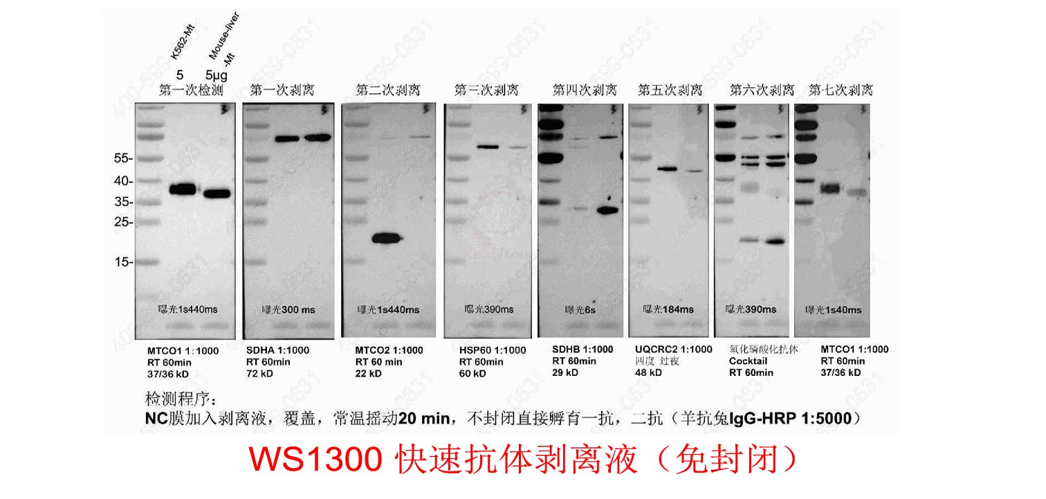 快速抗体剥���L���Q�免���闭�Q?>
                 </div>
             
                <div   id=